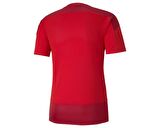 Puma Teamgoal 23 Training Jersey Erkek Futbol Forması 65648201 Kırmızı