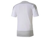 Puma Teamgoal 23 Training Jersey Erkek Futbol Forması 65648204 Beyaz