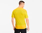 Puma Teamgoal 23 Training Jersey Erkek Futbol Formasi 65648207 Sarı