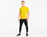 Puma Teamgoal 23 Training Jersey Erkek Futbol Formasi 65648207 Sarı