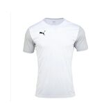 Puma 656484-04 Teamgoal 23 Sıdelıne Tee 