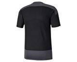 Puma Teamgoal 23 Training Jersey Erkek Futbol Forması 65648203 Siyah