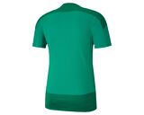 Puma Teamgoal 23 Training Jersey Erkek Futbol Formasi 65648205 Yeşil