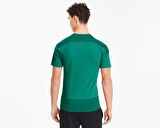 Puma Teamgoal 23 Training Jersey Erkek Futbol Formasi 65648205 Yeşil