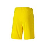 Puma 704262 Teamgoal 23 Knıt Shorts