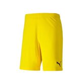 Puma 704262 Teamgoal 23 Knıt Shorts