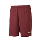 Puma 70426209 Teamgoal 23 Knit Shorts Erkek Şort
