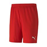 Puma 704262 Teamgoal 23 Knıt Shorts