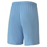Puma Erkek Şort Team Goal 23 70426218