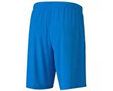 Puma Teamgoal 23 Knit Shorts Erkek Futbol Maç Şortu 70426202 Mavi