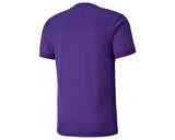 Puma Teamgoal 23 Jersey Erkek Futbol Forması 70417110 Mor