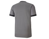 Puma Teamgoal 23 Jersey Erkek Futbol Forması 70417113 Gri