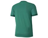 Puma Teamgoal 23 Jersey Pepper Green-Power Gr Erkek Futbol Forması 70417105 Yeşil