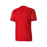 Puma 704171 Teamgoal 23 Jersey