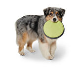 Köpekler İçin Frizbi
