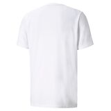 Puma 52031402 Performance Ss Tee M Erkek T-Shirt