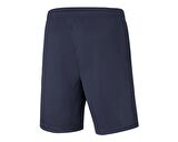 Puma Teamrise Training Shorts Erkek Futbol Maç Şortu 65733606 Lacivert