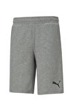 ESS Shorts 10" GRI Erkek Şort