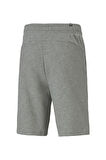 ESS Shorts 10" GRI Erkek Şort