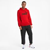 Puma Essentials Big Logo Hoodie Erkek Sweatshirt