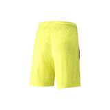 Puma 704924 Şort Sarı