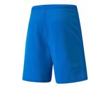 Puma Teamrise Short Erkek Futbol Şortu 70494202 Mavi