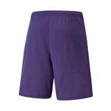 Puma 704942 Teamrise Short Mor