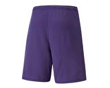 Puma Teamrise Short Erkek Futbol Şortu 70494210 Mor