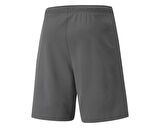 Puma Teamrise Short Erkek Şortu 70494213 Gri