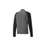 Puma 657236 Teamlıga 1 4 Zıp Top