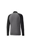 Puma Teamliga Training Jacket Erkek Futbol Antrenman Ceketi 65723413 Gri