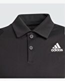 Adidas B Club Polo Erkek Polo Yaka Tenis Antrenman Tişört