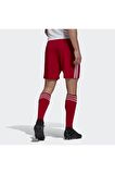 adidas Unisex Short Gn5771 Squad 21