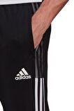 Adidas Erkek Futbol Eşofman Altı Tiro21 Tk Pnt Gh7305