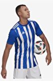 Adidas Striped 21 Jsy ADGH7321 Erkek Forma