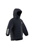 adidas ITAVIC M H JKT Erkek  Mont GT1686
