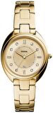 Fossil Jewel FES5071 Kadın Kol Saati