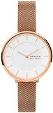Skagen Skw3013 Bayan Kol Saati