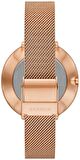 Skagen Skw3013 Bayan Kol Saati