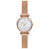 Fossil BQ3897 Kadın Kol Saati