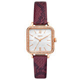 Fossil FBQ3919 Kadın Kol Saati