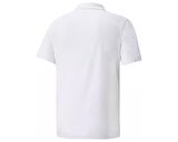 Puma Turkiye Mens Polo Erkek Türkiye Polo Tişörtü 67102402 Beyaz
