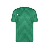 Puma 705017 Teamglory Jersey Yeşil