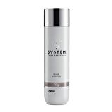 System Silver Sarı Boyalı Saçlar Şampuanı 250ml
