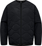 Jack Wolfskin A60173-6502 Wandersome Ins W Kadın Oudoor Mont