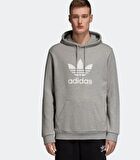 ADİDAS Trefoıl Hoodıe Sweatshirt GRİ ERKEK DT7963