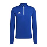 Adidas HG6286 Ent22 Tr Top Erkek Sweatshirt