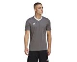 adidas Ent22 Jsy Erkek Futbol Forması HE1574 Gri