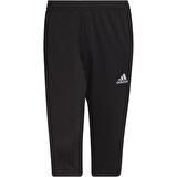 Adidas Entr22 3/4 Erkek Eşofman Altı