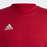 Adidas HB0577 Ent22 Sw Top Erkek Sweatshirt